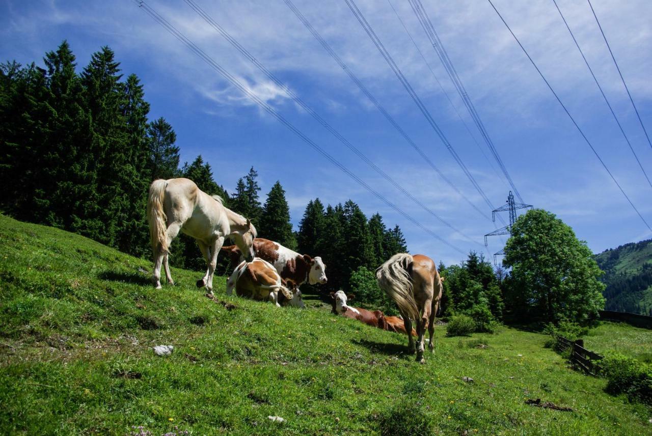 Haus Kohlberghof Otel Bichlbach Dış mekan fotoğraf