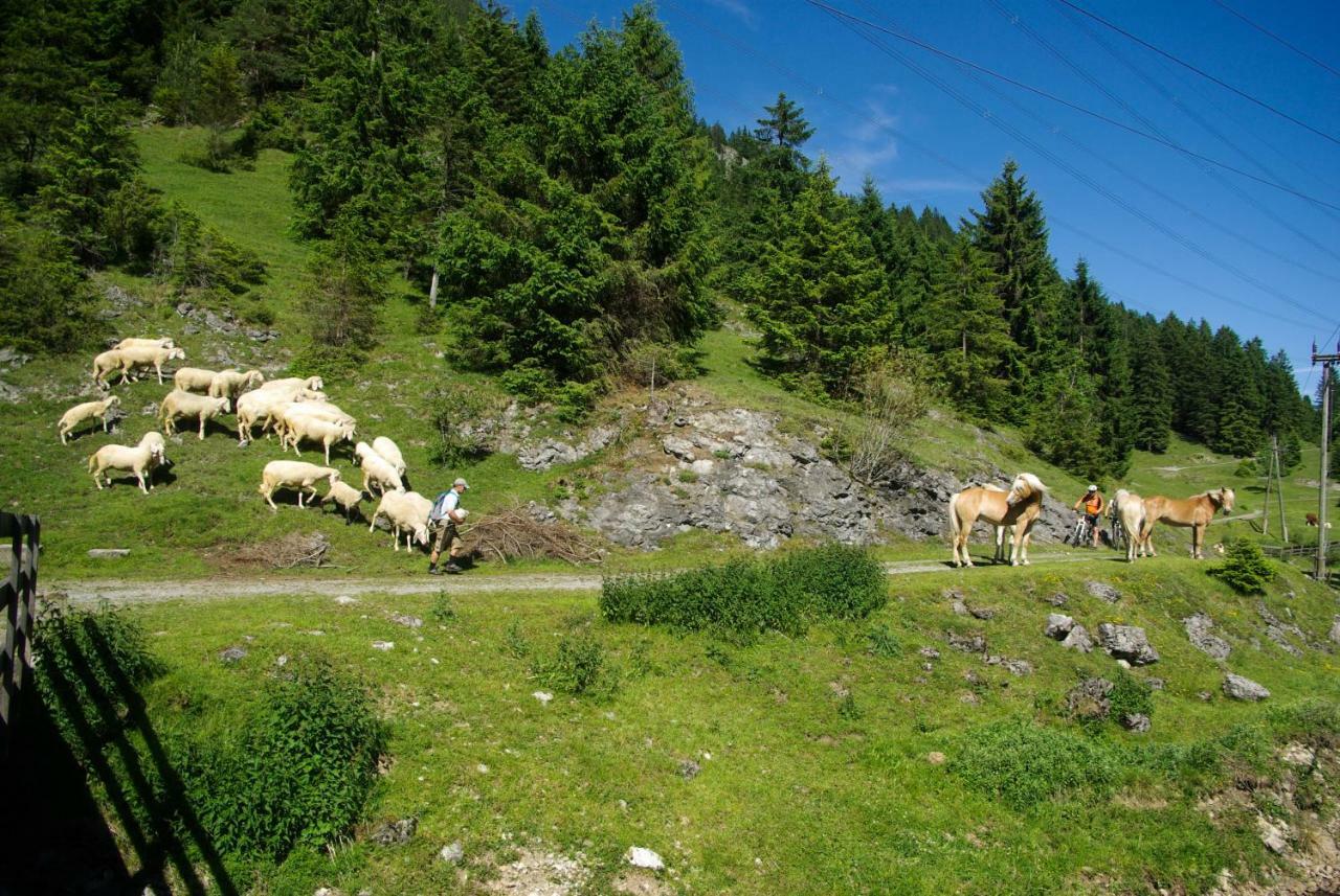 Haus Kohlberghof Otel Bichlbach Dış mekan fotoğraf